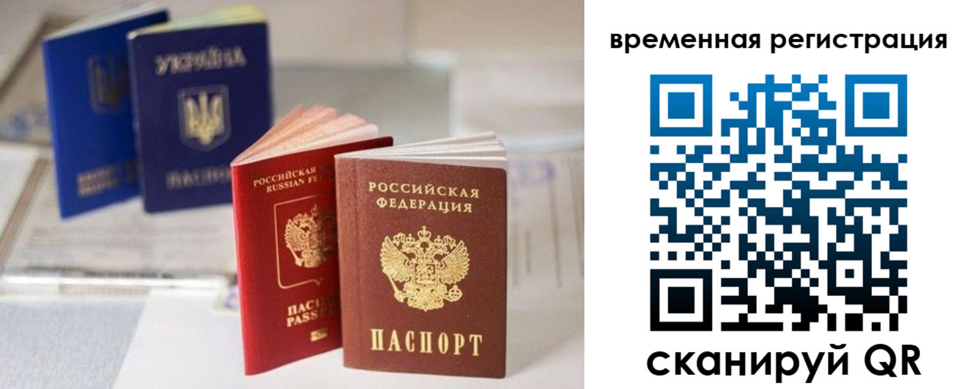 прописка поиск в Павловске